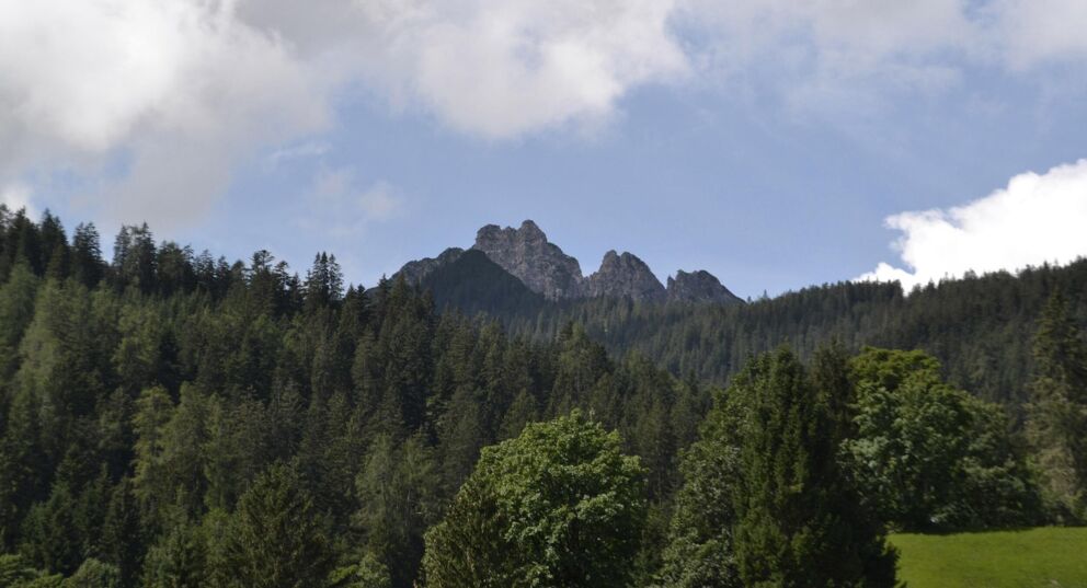 Blick auf den über zweitausend Meter hohen Schillerkopf Gipfel