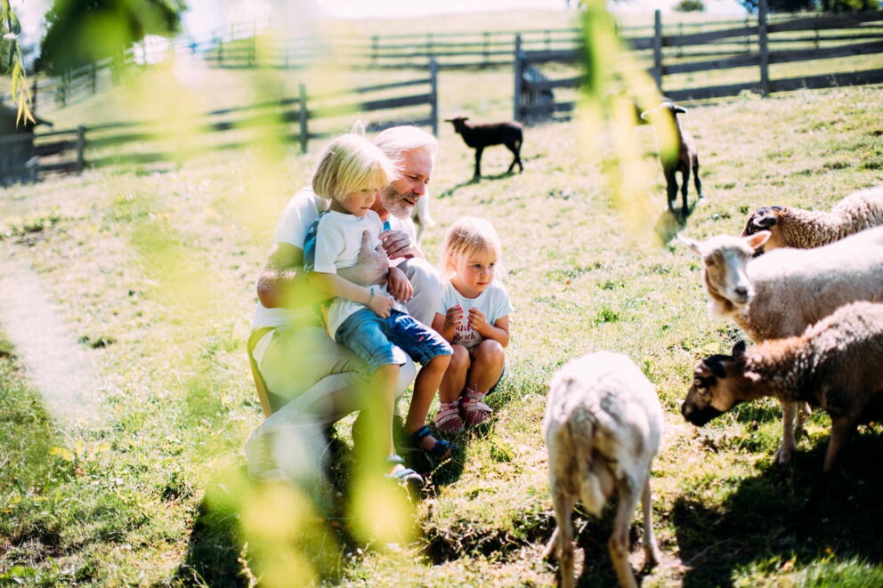 Tiere beim Pitzis Kinderhotel