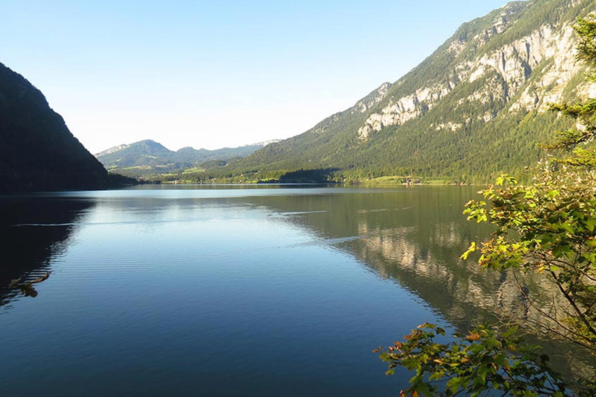 Natur in der Umgebung des Agathawirt