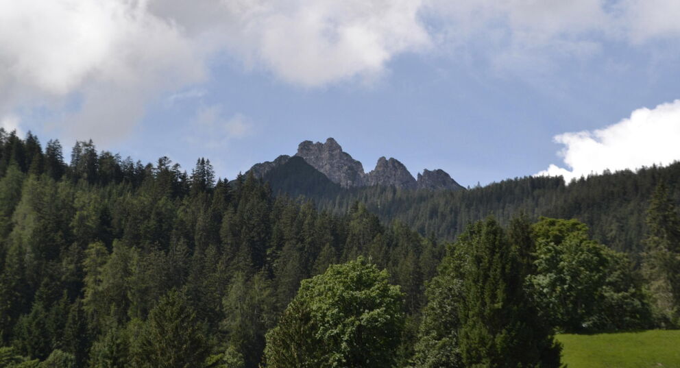 Blick auf den über zweitausend Meter hohen Schillerkopf Gipfel