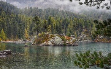 Foto von einem See im Wald mit nebeliger Stimmung