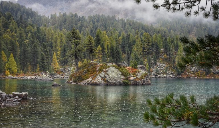 Foto von einem See im Wald mit nebeliger Stimmung